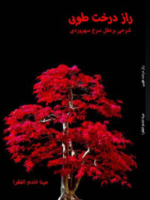 خرید کتاب راز درخت طوبی (شرحی بر عقل سرخ سهروردی) اثر مینا خادم الفقرا