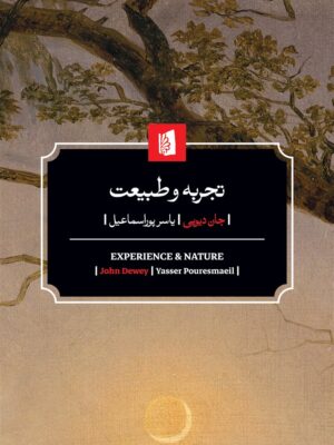 خرید کتاب تجربه و طبیعت اثر جان دیویی نشر بیدگل