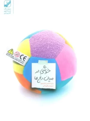 خرید کتاب خوشی در میان رنج ها اثر رابرت الکس جانسون نشر بنیاد فرهنگ زندگی