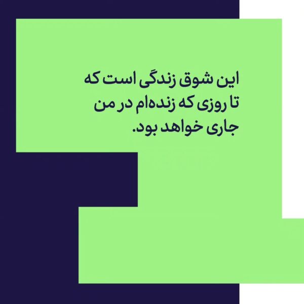 خرید کتاب نگهبان ماموت (خودزندگی نامه بهروز فردوس) نشر دیوار - تصویر 2
