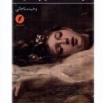 خرید کتاب مرگ در تفنگ چخوف اثر وحیدمناجاتی نشر نقدفرهنگ