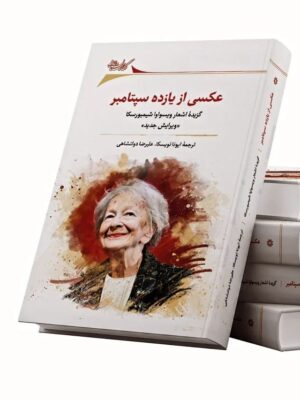 خرید کتاب عکسی از یازده سپتامبر ترجمه علیرضا دولتشاهی نشر نگارستان اندیشه