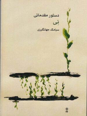 خرید کتاب دستور مقدماتی نی اثر سیامک جهانگیری نشر ماهور