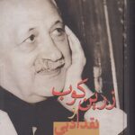 خرید کتاب زرین کوب و نقد ادبی اثر ایرج پارسی نژاد نشر سخن