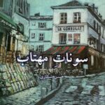خرید کتاب سونات مهتاب اثر حسن شکاری نشر دانو