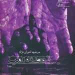 خرید کتاب توطئه آمیز جلد دوم اثر مرضیه اخوان نژاد نشر آراسبان