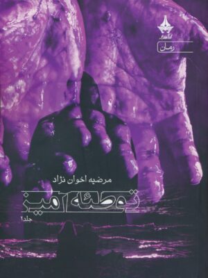 خرید کتاب توطئه آمیز جلد دوم اثر مرضیه اخوان نژاد نشر آراسبان