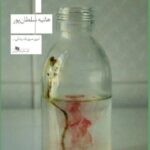 خرید کتاب قلب گاو اثر هانیه سلطان پور نشر چشمه