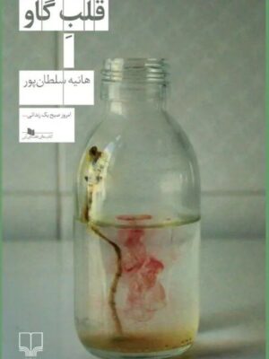 خرید کتاب قلب گاو اثر هانیه سلطان پور نشر چشمه