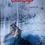 خرید کتاب خواب اسب اثر هادی غلام دوست نشر خزه