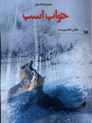 خرید کتاب خواب اسب اثر هادی غلام دوست نشر خزه
