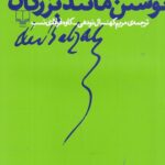 خرید کتاب نوشتن مانند بزرگان اثر کاوه فولادی نسب و مریم کهن سال نودهی نشر چشمه