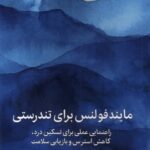 خرید کتاب مایندفولنس برای تندرستی اثر ویدیامالا برچ و دنی پنمن نشر میلکان