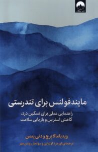 خرید کتاب مایندفولنس برای تندرستی اثر ویدیامالا برچ و دنی پنمن نشر میلکان