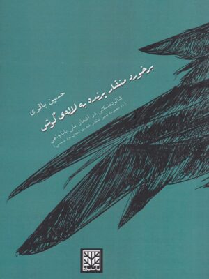 خرید کتاب برخورد منقار پرنده به لاله گوش اثر حسین باقری نشر پاتیزه