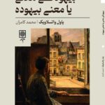 خرید کتاب بیهودگی معنی یا معنی بیهوده اثر پاول واتسلاویک نشر طرح نو