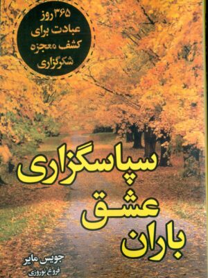 خرید کتاب باران عشق سپاسگزاری اثر جویس مایر نشر ارتباط نوین