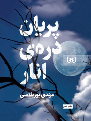 خرید کتاب پریان دره انار اثر مهدی پوربلاسی نشر قدیانی
