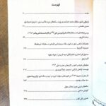 خرید کتاب تشیع در ایران به روایت فرهنگ مادی اثر محمدحسین افراخته و حمیدرضا آذری نیا - تصویر 2