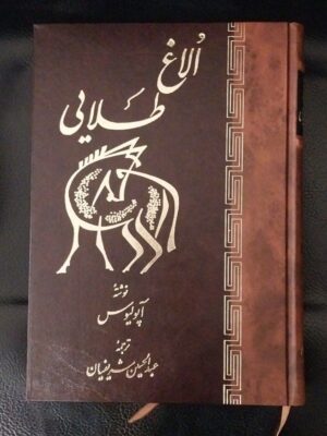 خرید کتاب الاغ طلایی اثر آپولیوس ترجمه عبدالحسین شریفیان نشر اساطیر