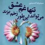 خرید کتاب تنها غم عشق می تواند این طور زخم بزند اثر پیج تون نشر آموت
