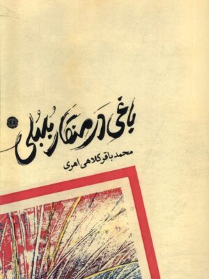 کتاب باغی در منقار بلبلی اثر محمدباقر کلاهی اهری نشر آرادمان