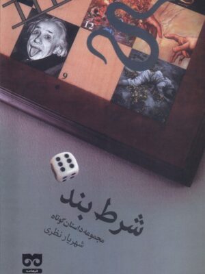 خرید کتاب مجموعه داستان های کوتاه شرط بند اثر شهریار نظری نشر فرهامه