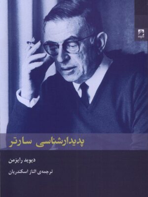 خرید کتاب پدیدارشناسی سارتر اثر دیوید رایزمن نشر شوند