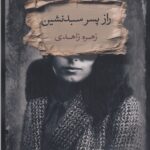 خرید کتاب راز پسر سبدنشین اثر زهره زاهدی نشر بذرخرد