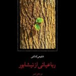 خرید کتاب رباعیاتی از نیشابور اثر شفیعی کدکنی نشر سخن