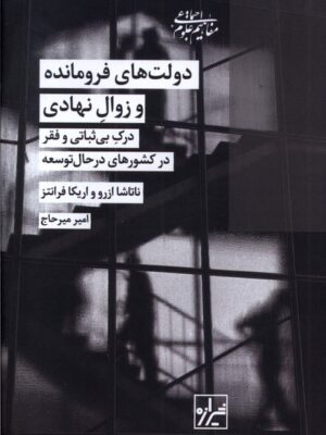 خرید کتاب دولت های فرومانده و زوال نهادی (درک بی ثباتی و فقر در کشور های در حال توسعه)