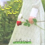 خرید کتاب بعد از خانم جان اثر شهره وکیلی نشر شادان