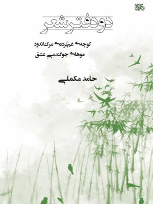 خرید کتاب دو دفتر شعر اثر حامد مکملی نشر بوی کاغذ