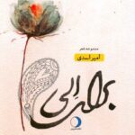 خرید کتاب مجموعه اشعار برای الی اثر امیر اسدی نشر ماهریس