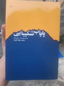 خرید کتاب پایاب شکیبایی اثر دکتر محمدجواد ظریف نشر اطلاعات - تصویر 2