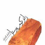 خرید کتاب زائر کوم پوستل اثر پائولو کوئیلو ترجمه حسین نعیمی از نشر ثالث