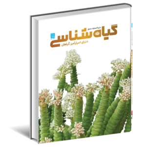 خرید کتاب دایره المعارف مصور گیاه شناسی (دنیای اسرارآمیز گیاهان) نشر سایان