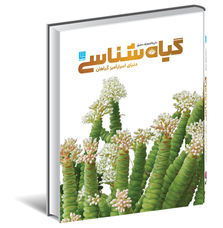 8e88d1 خرید کتاب دایره المعارف مصور گیاه شناسی (دنیای اسرارآمیز گیاهان) نشر سایان