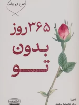خرید کتاب 365 روز بدون تو اثر اخیرا نشر کتیبه پارسی
