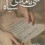 خرید کتاب سی نامه ی سیاه نوشته زیبا حیدری از نشر شقایق