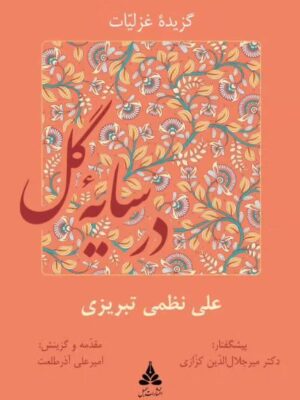 خرید کتاب در سایه گل اثر علی نظمی تبریزی نشر سمبل