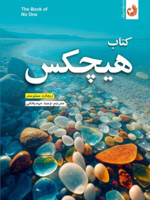 خرید کتاب هیچکس اثر ریچارد سیلوستر از نشر ترنگ