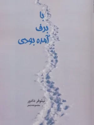 خرید کتاب با برف آمده بودی اثر نیلوفر دادور نشر اریش
