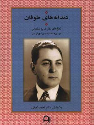 خرید کتاب دندانه های طوفان اثر دکتر احمد شعبانی نشر نامک