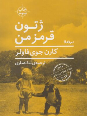 خرید کتاب ژتون قرمز من اثر کارن جوی فاولر نشر نیماژ