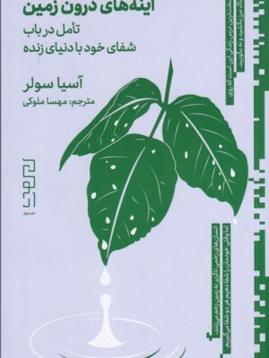 خرید کتاب آینه های درون زمین اثر آسیا سولر نشر دیوار