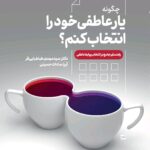 خرید کتاب چگونه یار عاطفی خود را انتخاب کنم اثر مهدی طباطبایی فر نشر دانژه