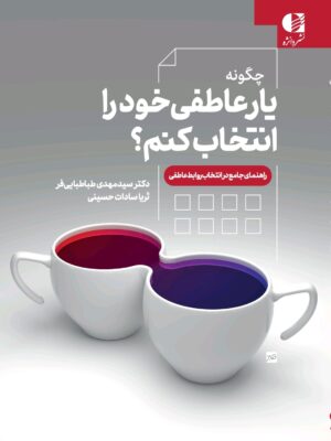 خرید کتاب چگونه یار عاطفی خود را انتخاب کنم اثر مهدی طباطبایی فر نشر دانژه