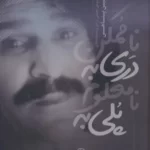 خرید کتاب پلی به نامعلوم دری به ناممکن اثر حسین پناهی نشر آناپنا