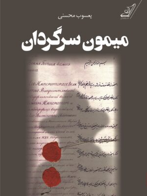 خرید کتاب میمون سرگردان اثر یعسوب محسنی نشر کوله پشتی